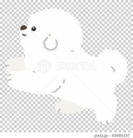 走るビション フリーゼの子犬 横向き 主線なしのイラスト素材 走るビション フリーゼの子犬 横向き 主線なしのイラスト素材