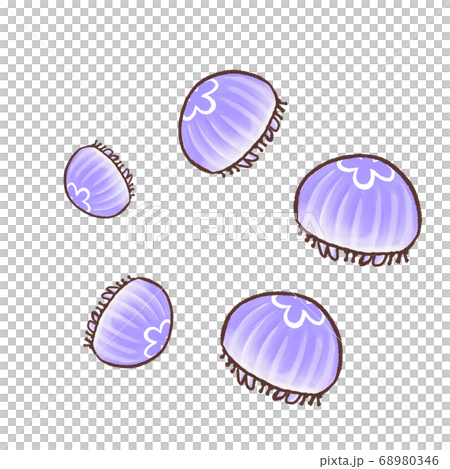 R：更童話的水族館很多月水母1 68980346