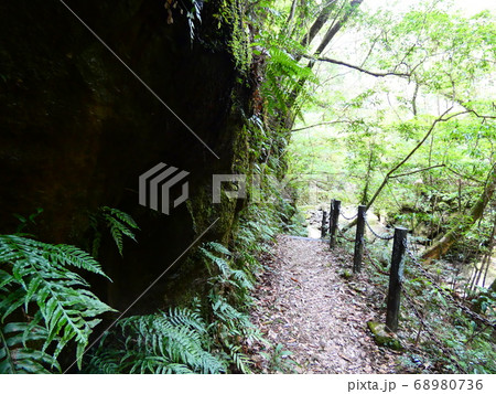 猪八重渓谷 猪八重渓谷 68980736