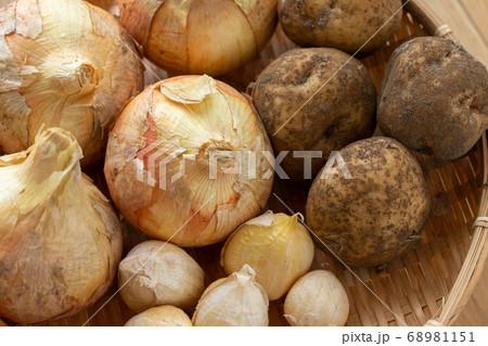 収穫した野菜の盛合せ　（6月）　家庭菜園　玉ねぎ‣ジャガイモ・にんにく 68981151