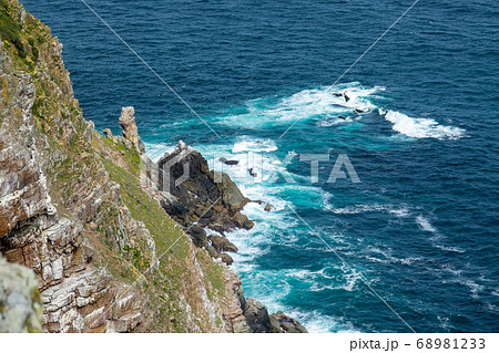Cape of Good Hope, Cape of Good Hope Nature 68981233