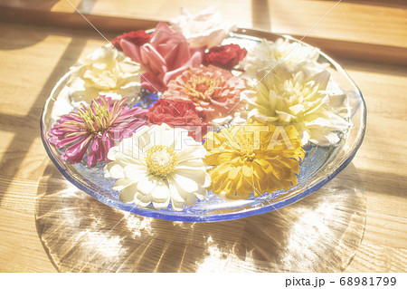 夏の浮き花の写真素材 夏の浮き花の写真素材