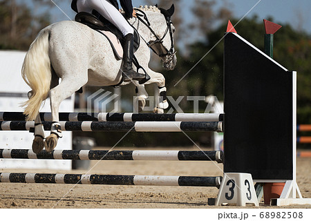 Sport horse jumping over a barrier on a obstacle course Sport horse jumping over a barrier on a obstacle course 68982508