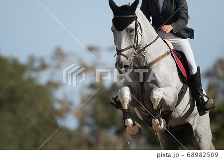 Sport horse jumping over a barrier on a obstacle course Sport horse jumping over a barrier on a obstacle course 68982509