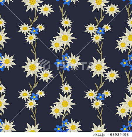 Floral Hand Drawn Seamless Pattern With Edelweissのイラスト素材