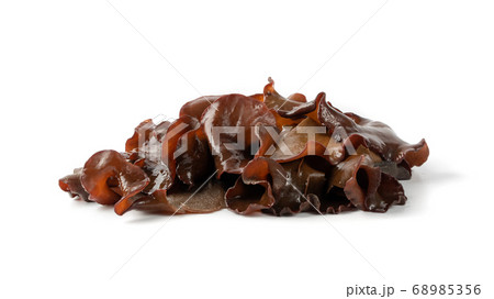 Wet Black Fungus, Tree Ear or Wood Ear Mushroom Wet Black Fungus, Tree Ear or Wood Ear Mushroom 68985356