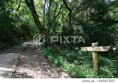 夏の生田緑地 升形山広場への階段 夏の生田緑地 升形山広場への階段 68987005