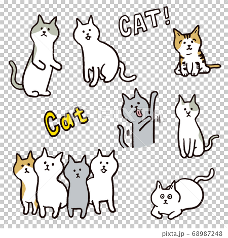 貓各種1 68987248
