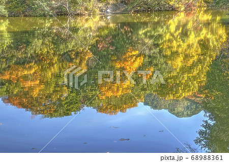水面に映る紅葉の色 奥須磨公園のイラスト素材 6861