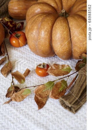 Cozy autumn background with pumpkin Cozy autumn background with pumpkin 68988562