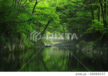 岩手県住田町　夏の渓流 68989247