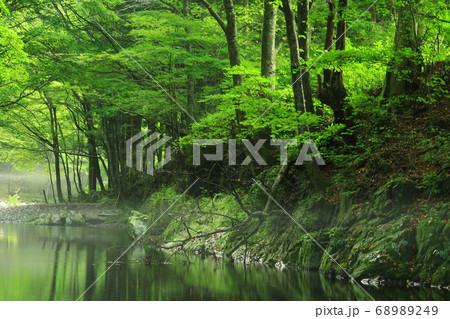 岩手県住田町　夏の渓流 68989249