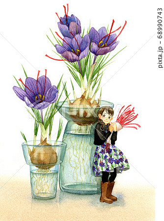 サフランの花と少女のイラスト素材