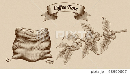 Engraving coffee beans and fruit 68990807