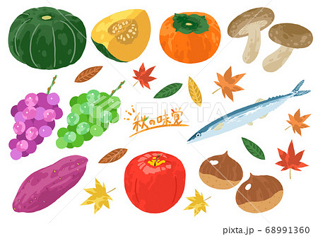 美味しい秋の味覚イラストセットのイラスト素材
