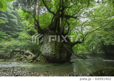 《秋田県・五城目町》ネコバリ岩 《秋田県・五城目町》ネコバリ岩 68991402