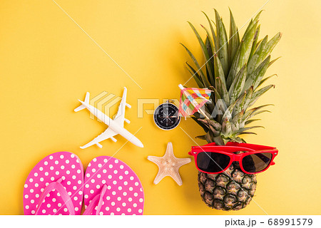 fresh pineapple in sunglasses with model plane and fresh pineapple in sunglasses with model plane and 68991579