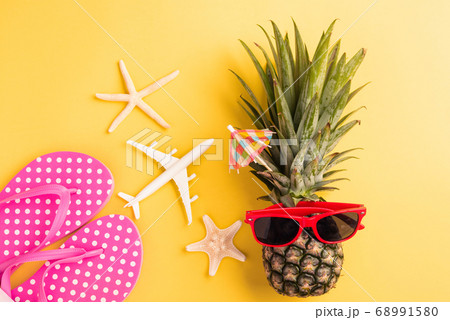 fresh pineapple in sunglasses with model plane and fresh pineapple in sunglasses with model plane and 68991580