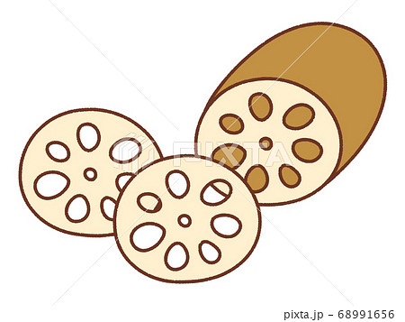 レンコンのイラスト素材 レンコンのイラスト素材