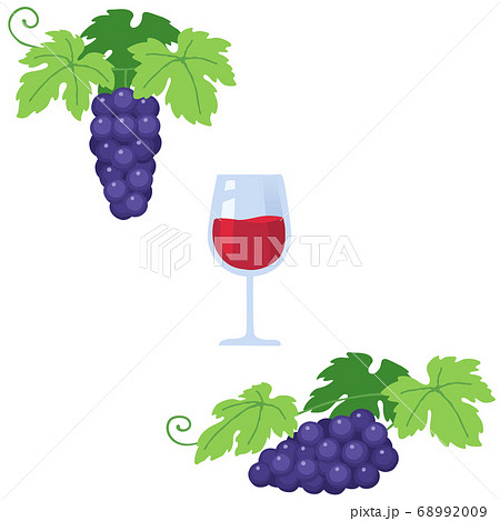 ブドウと赤ワインのイラストのイラスト素材 6909