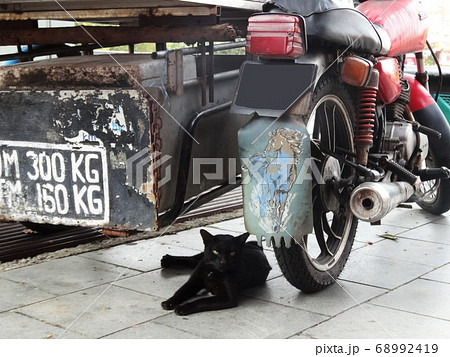 黒猫とバイク Black Cat And Rusty Motorcycleの写真素材