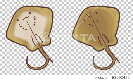 R：黃貂魚E，一個更加童話般的水族館 68992423
