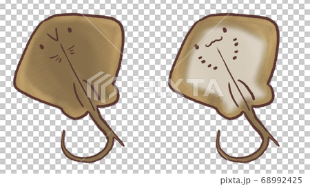 R:もっとメルヘンな水族館 アカエイF 68992425