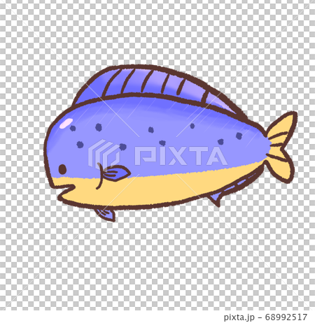 R：更童話般的水族館Shiira Mahimahi A 68992517