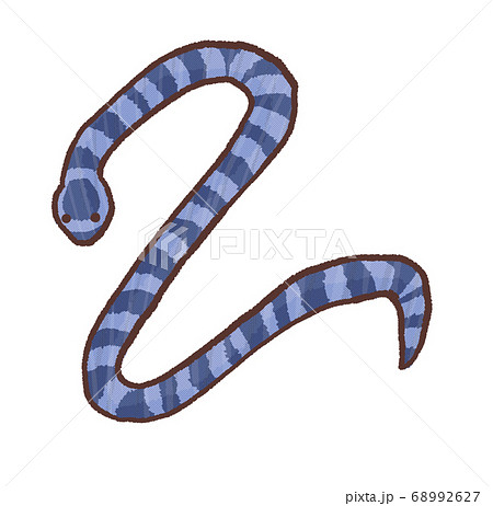 R もっとメルヘンな水族館 エラブウミヘビ のイラスト素材