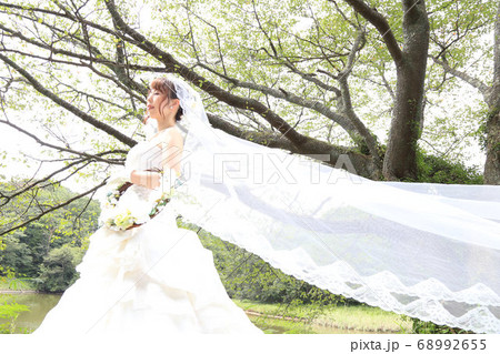 ウエディングドレスの新婦 68992655