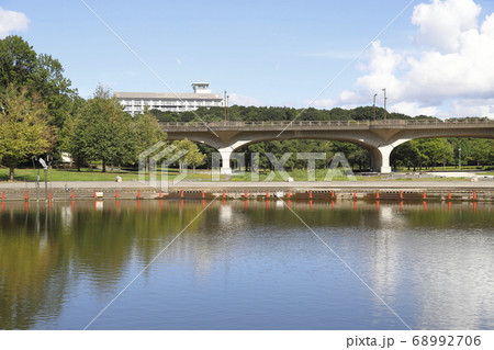 21世紀の森と広場　千駄堀池と広場の橋 68992706
