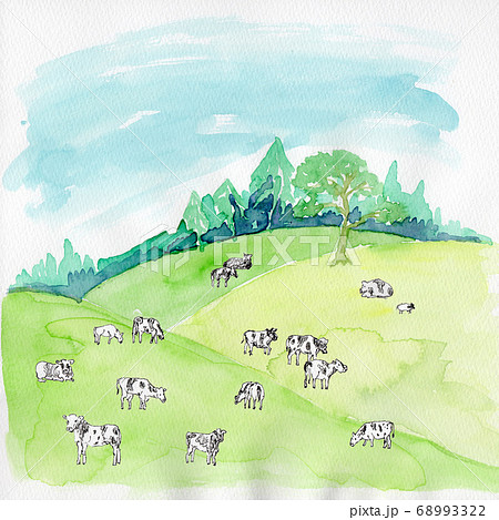 牧場と牛の風景水彩画のイラスト素材