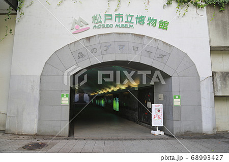 21世紀の森と広場 松戸市立博物館入口 「森のプロローグ」 21世紀の森と広場 松戸市立博物館入口 「森のプロローグ」 68993427