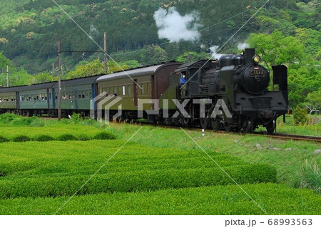 茶畑の中を駆け抜けるC56-44 68993563