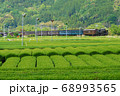 茶畑の中を駆け抜けるC56-44 68993565