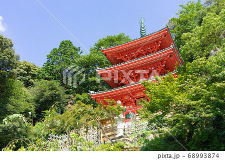 岐阜公園 三重塔 68993874