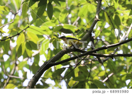 石ヶ谷峡 石ヶ谷峡 68993980