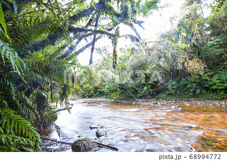 New Zealand river New Zealand river 68994772