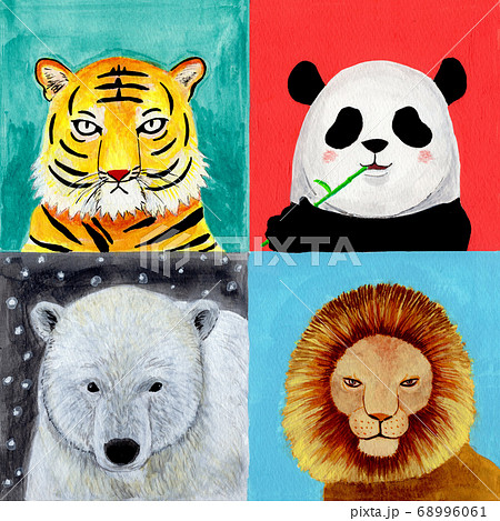 虎とパンダとシロクマとライオンの顔のイラストのイラスト素材