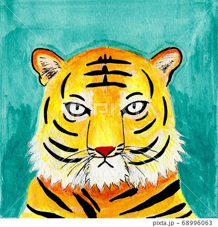 虎の顔のイラスト 虎の顔のイラスト 68996063