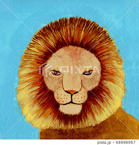 ライオンの顔のイラスト素材