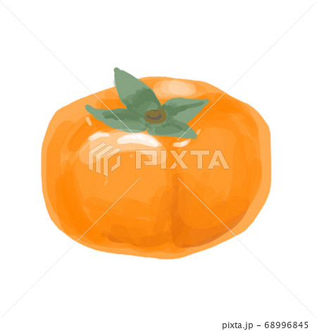 厚塗り風イラストの柿のイラスト素材