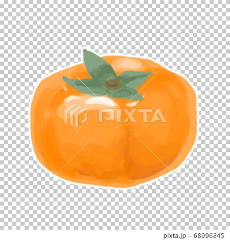 柿子厚繪畫風格的插圖 柿子厚繪畫風格的插圖 68996845