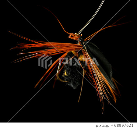 Feathers on the hook for fishing on a black Feathers on the hook for fishing on a black 68997621