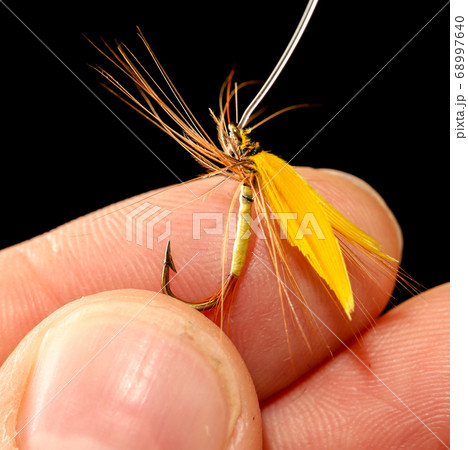 Feathers on the hook for fishing in the hand Feathers on the hook for fishing in the hand 68997640