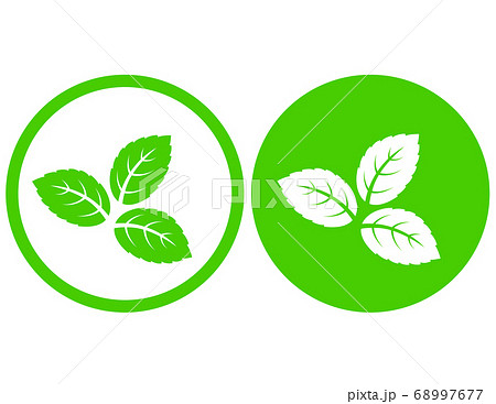 natural eco green mint leaves symbol icon 68997677