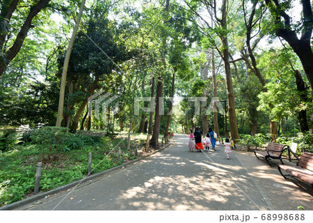 林試の森公園 68998688