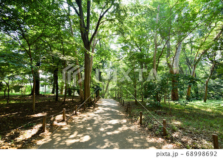 林試の森公園 68998692