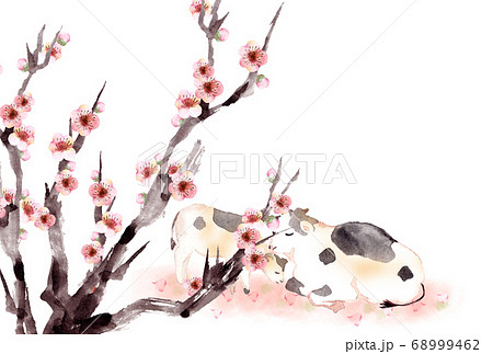 水彩の牛の親子と梅の花 はがきサイズのイラスト素材