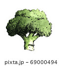 Hand-drawn watercolor image of broccoli. JPEG only 69000494